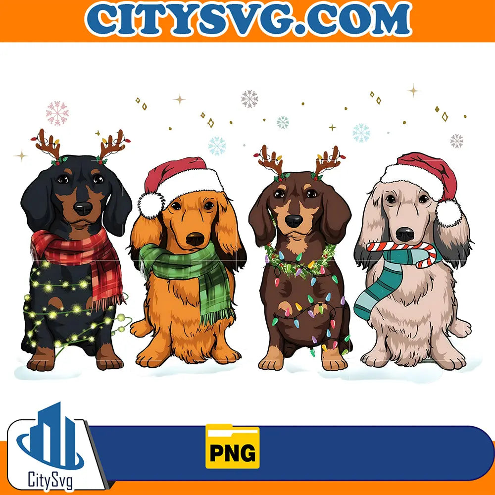DogDachshundLightChristmasPng