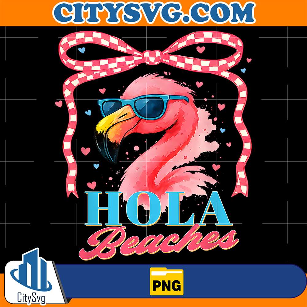 Hola-Beaches-Flamingo-Coquette-Summer-Beach-Vibes-Png