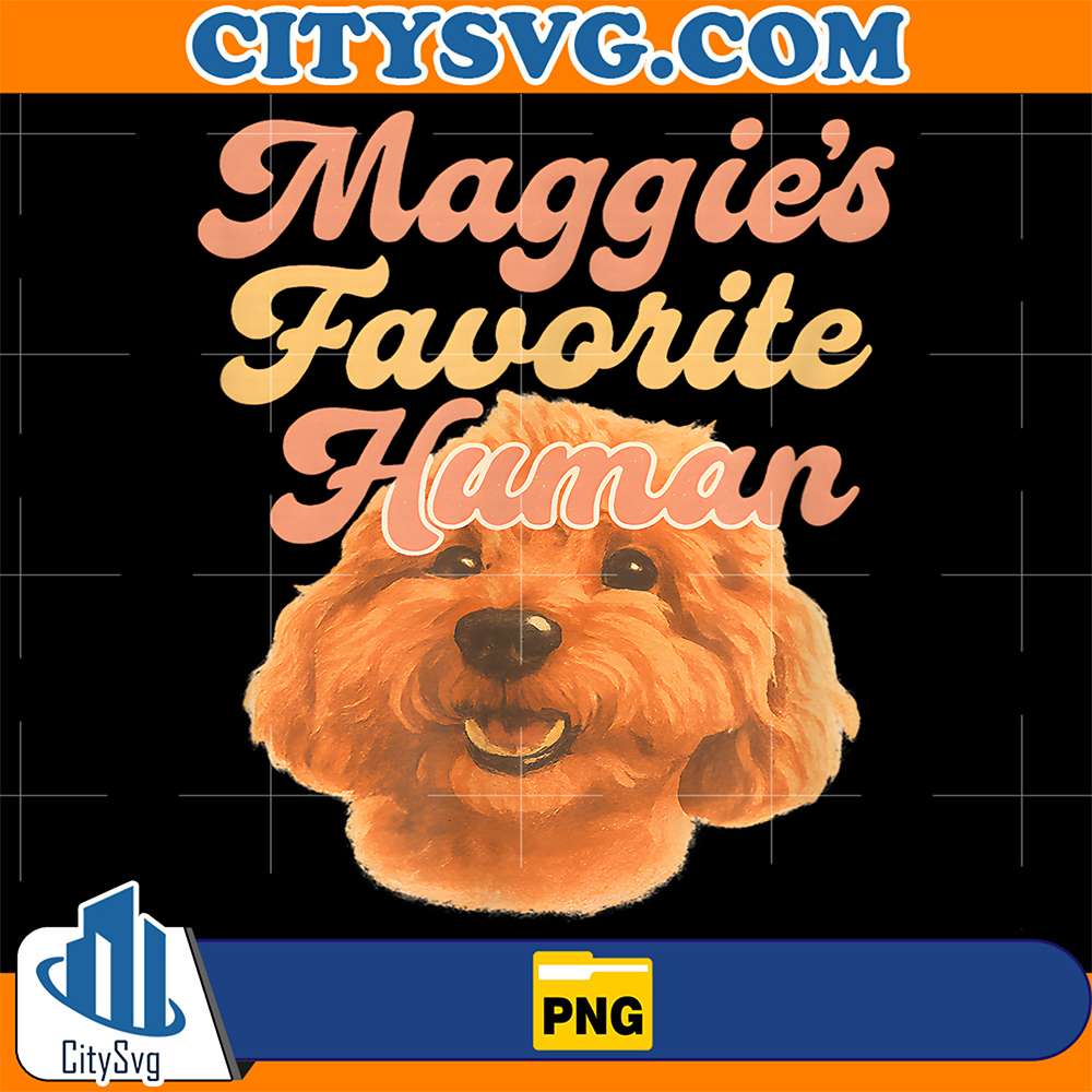 Maggies-Favorite-Human-Miniature-Apricot-Poodle-Cute-Png