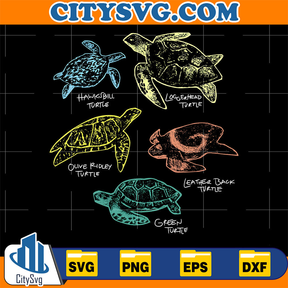 Sea-Turtle-Species-Svg