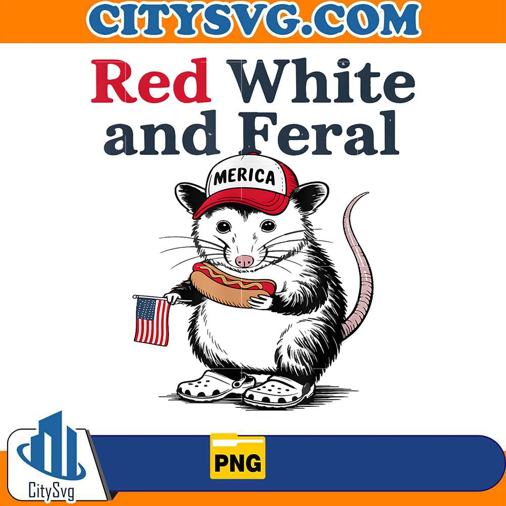 Raccoon 4th Of July Png CITYSVG