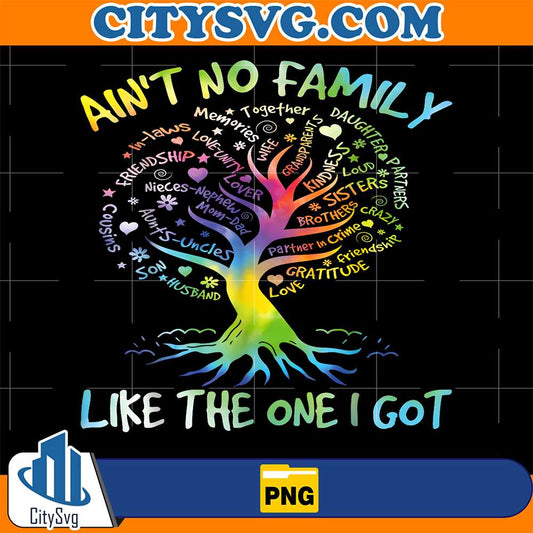 Ain-t-No-Family-Like-The-One-I-Got-Matching-Family-Reunion-Png