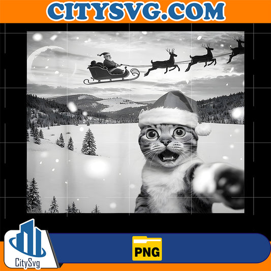 Cat-Selfie-With-Santa-Png