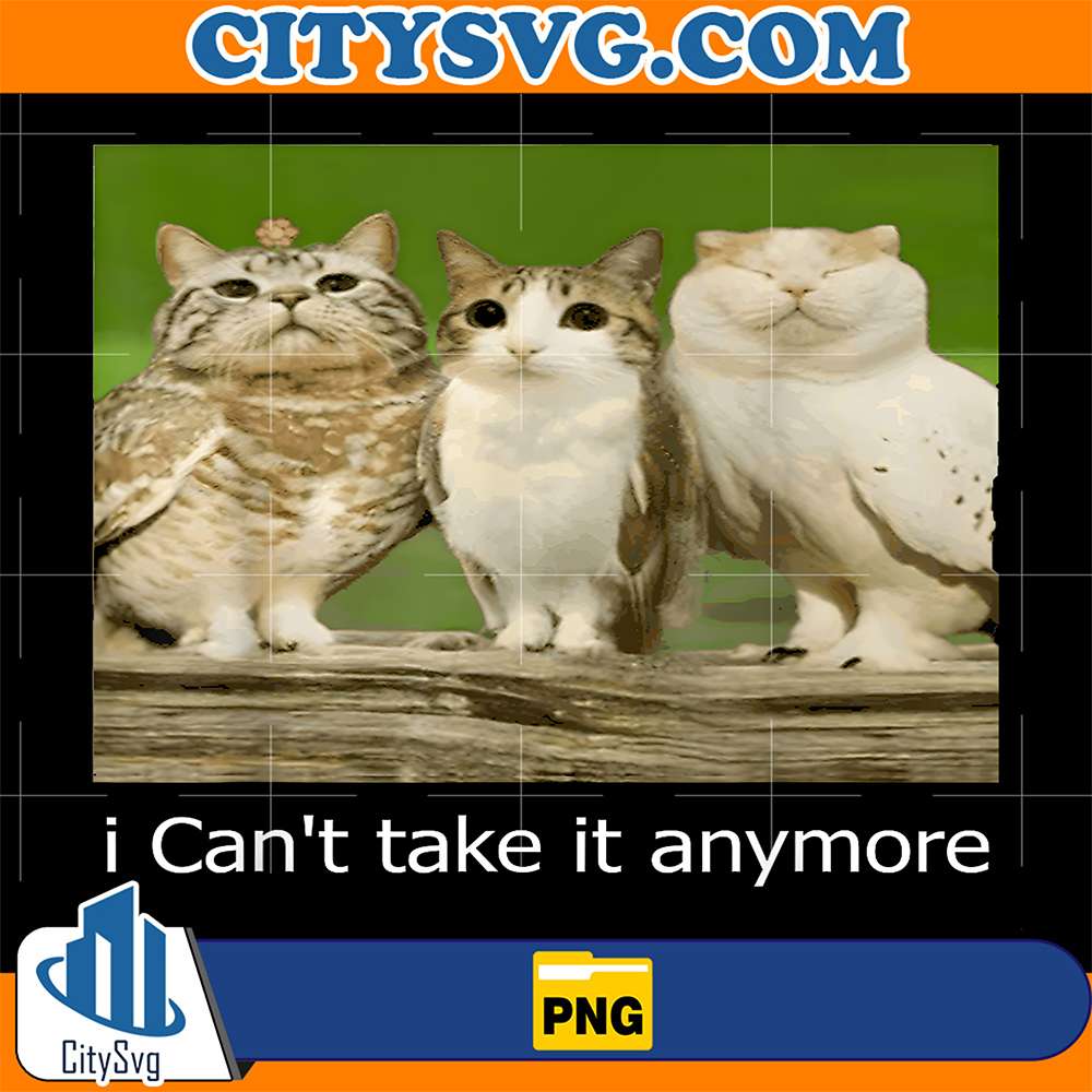 Cats-I-Can-t-Take-It-Anymore-Png