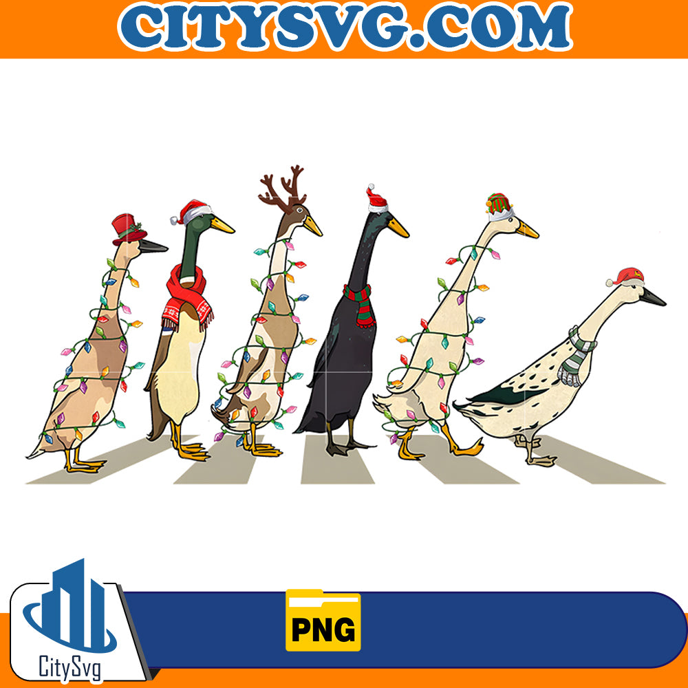 Christmas Ducks Png