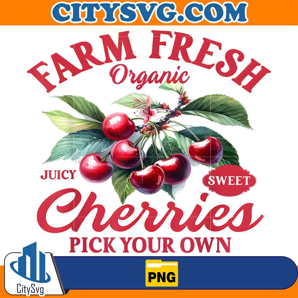 Farm-Fresh-Organic-Cherries-Pick-Your-Own-Png