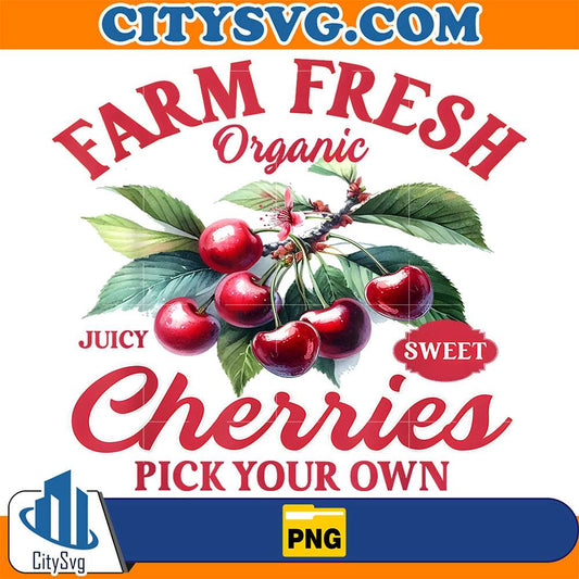 Farm-Fresh-Organic-Cherries-Pick-Your-Own-Png