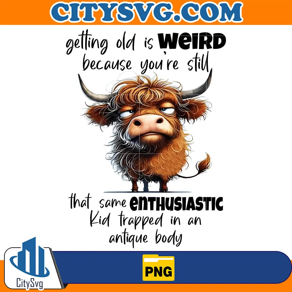 FunnyGettingOldIsWeirdBecauseYou_reStillThatSameEnthusiasticKidTrappedInAnAntiqueBodyPng