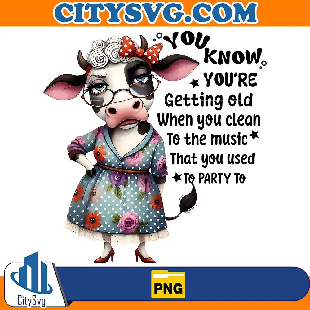 FunnyYouKnowYou_reGettingOldWhenYouCleanToTheMusicThatYouUsedToPartyToPng