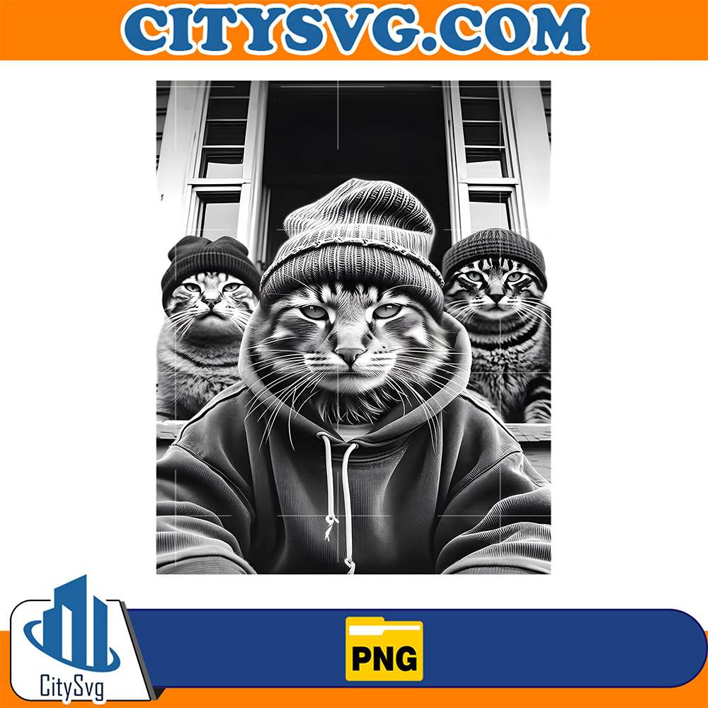 Gang-Of-Feral-Street-Cats-90-s-Funny-Meme-Png
