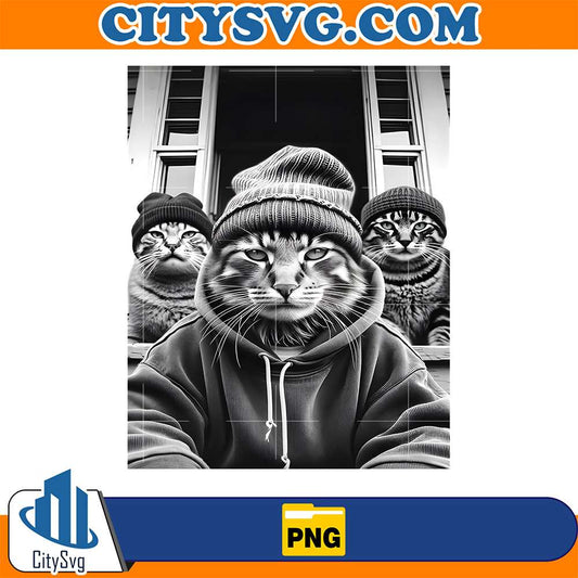 Gang-Of-Feral-Street-Cats-90-s-Funny-Meme-Png