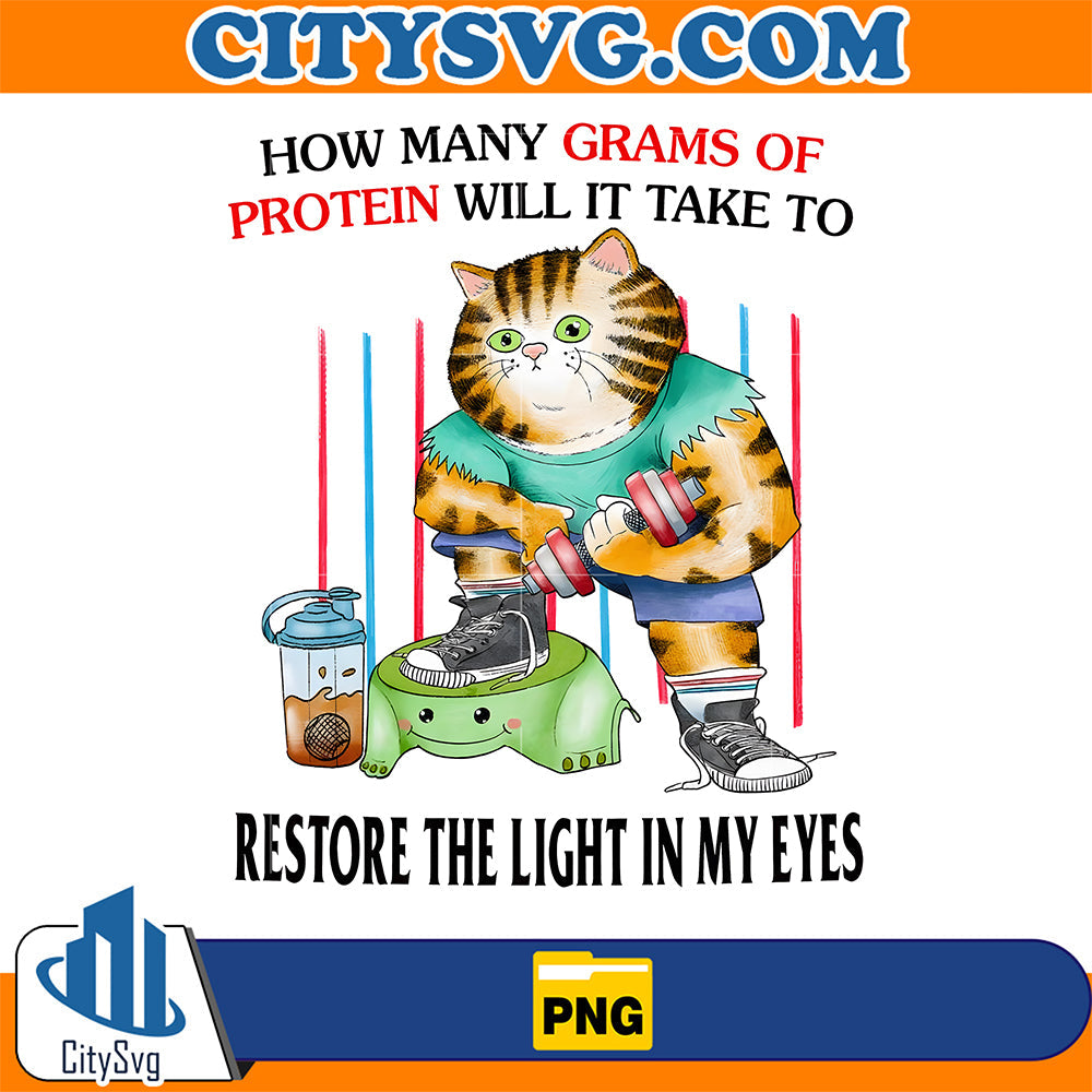 Gym-Cat-How-Many-Grams-Of-Protein-Will-It-Take-To-Restore-The-Light-In-My-Eyes-Png