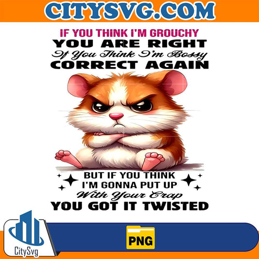 Hamster-If-You-Think-I-m-Grouchy-You-Are-Right-It-You-Think-I-m-Bossy-Correct-Again-Png