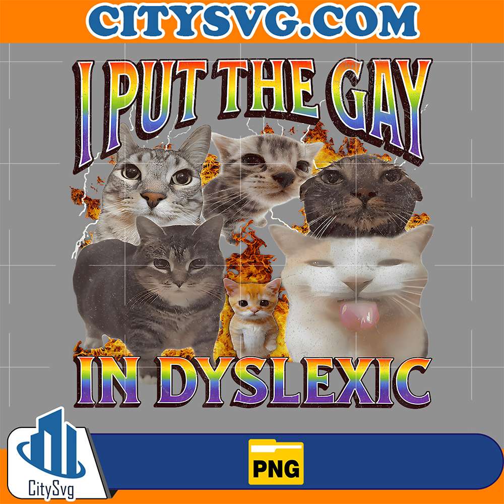 I-Put-The-Gay-In-Dyslexic-Funny-Cat-Meme-Png