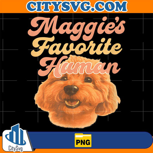 Maggies-Favorite-Human-Miniature-Apricot-Poodle-Cute-Png