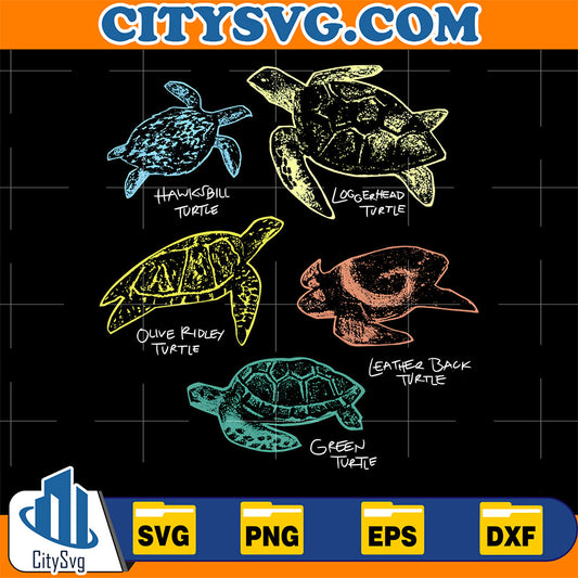 Sea-Turtle-Species-Svg