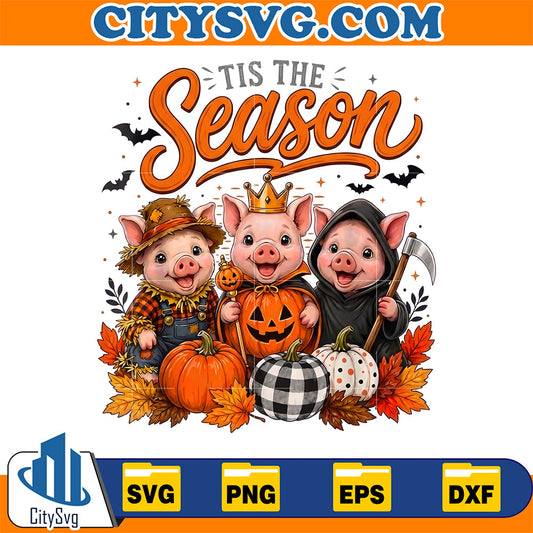 Tis-The-Season-Halloween-Pig-Pumpkin-Svg