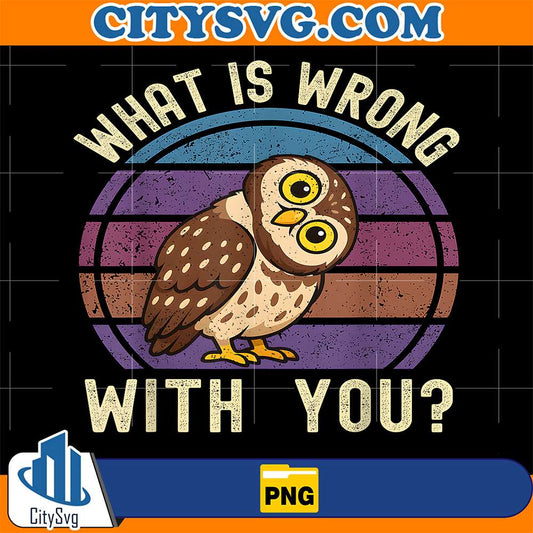 What-is-Wrong-With-You-Funny-Owl-Png
