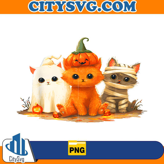 kitten-witch-scary-halloween-pumpkin-cat-halloween-kid-png