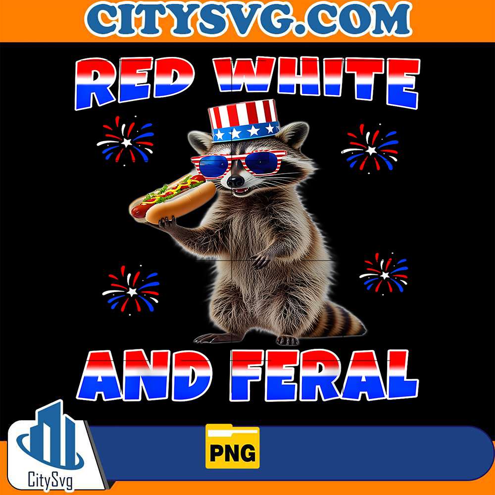 raccoon-4th-of-july-png